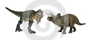 Dinosaur Tyrannosaurus and Triceratops