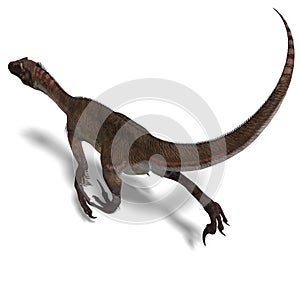 Dinosaur Utahraptor