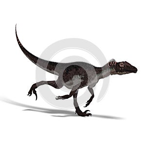 Dinosaur Utahraptor