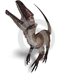 Dinosaur Utahraptor