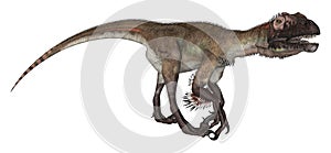 Dinosaur Utahraptor