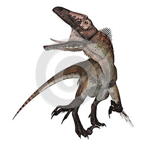 Dinosaur Utahraptor