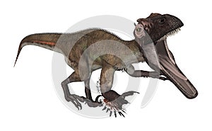 Dinosaur Utahraptor