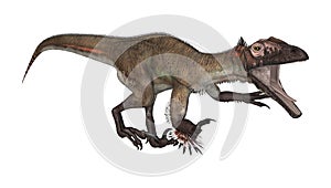 Dinosaur Utahraptor