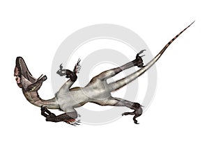 Dinosaur Utahraptor
