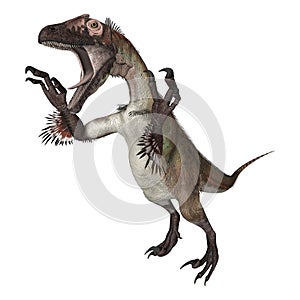 Dinosaur Utahraptor