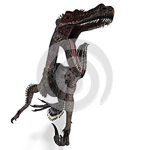 Dinosaur Velociraptor