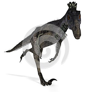 Dinosaur Velociraptor