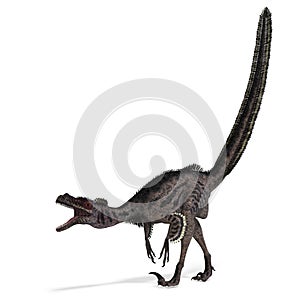 Dinosaur Velociraptor photo