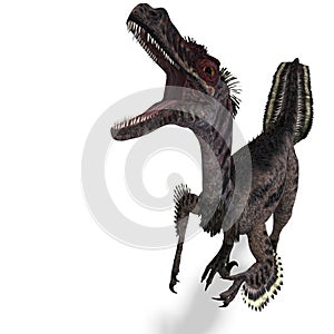 Dinosaur Velociraptor photo