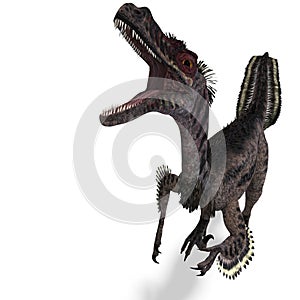 Dinosaur Velociraptor