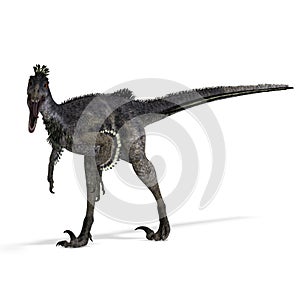 Dinosaur Velociraptor