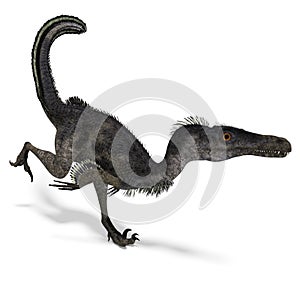 Dinosaur Velociraptor