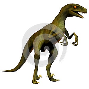 Dinosaur velociraptor photo