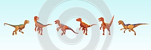 The dinosaur is a velociraptor. Vector illustration of a prehistoric predatory dinosaur isolated on a white background
