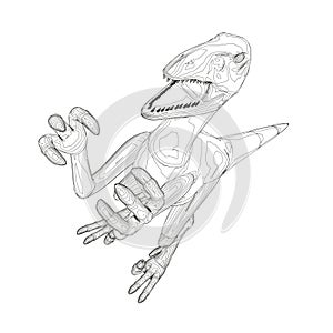 Dinosaur wireframe made of black lines on a white background. Angry dinosaur with raised paws and sharp claws