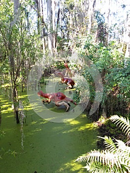 Dinosaur world swamp picture