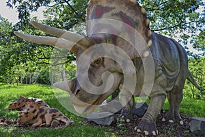 Dinosaur in the zoo park