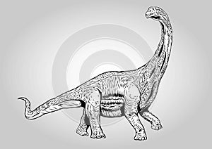 Dinosaurs Brachiosaurus Prehistoric Vector Illustration