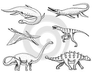 Dinosaurs Elasmosaurus, Mosasaurus, Barosaurus, Diplodocus, Pterosaur, Ankylosaurus, Velociraptor, fossils, winged