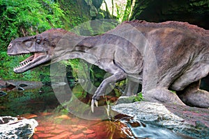 Dinosaurs are a group of reptiles of the Dinosauria