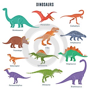 Set of Dinosaurs photo
