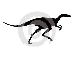 Dinosaurs of the Jurassic period. Silhouettes of different dinosaurs.