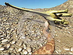Dinosaurs Jurassic prehistoric scene dinosaur fighting with snake 3d rendering