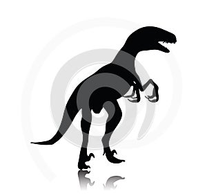 Dinosaurs raptor