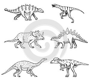 Dinosaurs set, Triceratops, Barosaurus, broad lizard, Stegosaurus, Pachycephalosaurus, Diplodocus, Ankylosaurus