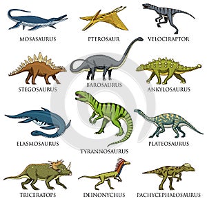 Dinosaurs set, Tyrannosaurus rex, Triceratops, Barosaurus, Diplodocus, Velociraptor, Triceratops, Stegosaurus, skeletons