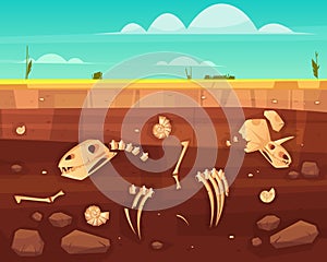 Dinosaurs skeletons bones in soil layers vector