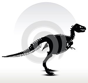 dinosaurs trex skeleton