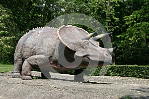 Dinosaurs - Triceratops