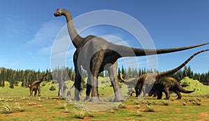 Jurassic valley. Dinosaurs on the valley photo