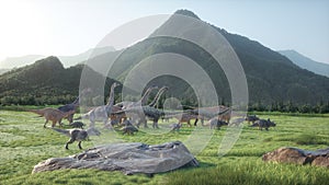 Dinosaurs on the valley