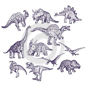 Dinosaurs vector drawings set