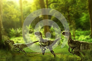 Dinosaurs, velociraptors on the jungle