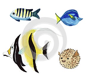 Diodon fish, Moorish idol, yellowtail tang, striptailed damselfish