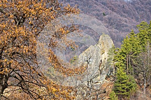 The Dionisie Torcatorul cave in Bozioru Buzau