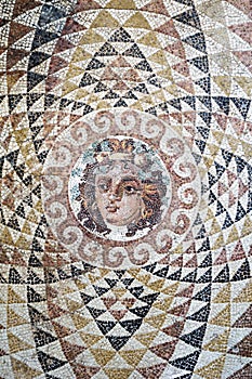 Dionysus mosaic