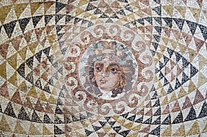 Dionysus mosaic