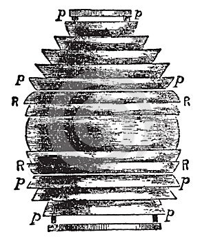 Dioptric Light, vintage illustration