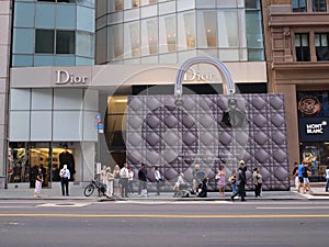 Dior Handbag
