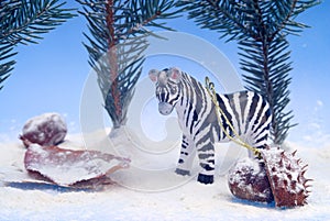 Diorama of zebra photo
