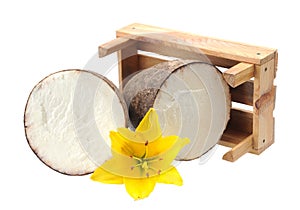 Dioscorea alata linn