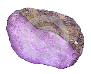 Dioscorea alata Linn