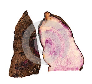 Dioscorea alata Linn