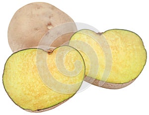 Dioscorea bulbifera or Air potato