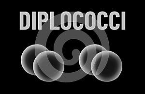 Diplococci bacteria monochrome vector illustration on black background. Virus concept